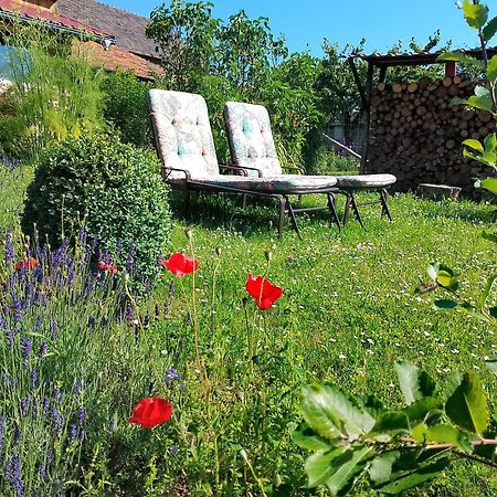 Loft Eifel Idylle Apartment Nettersheim Luaran gambar