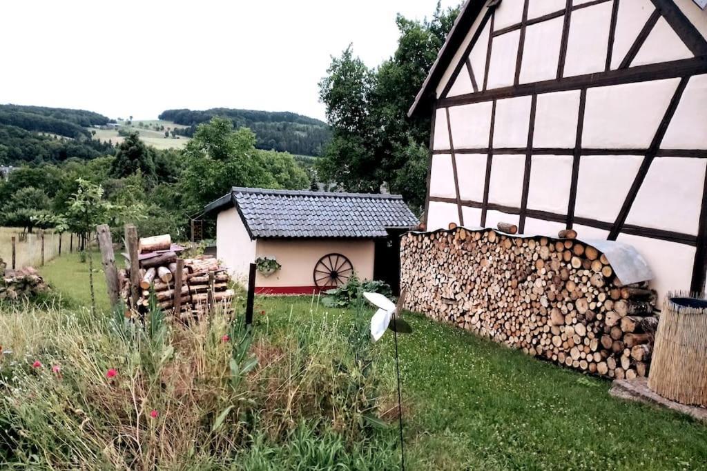 Loft Eifel Idylle Apartment Nettersheim Luaran gambar